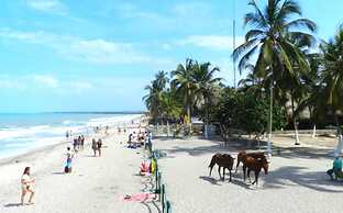 Cabañas Vacacionales VI