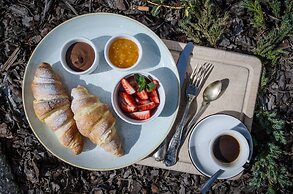 Aura by Downtown Apartments