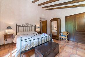 Il Castagno dell'Etna