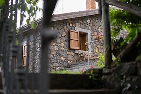 Il Castagno dell'Etna