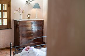 Il Castagno dell'Etna