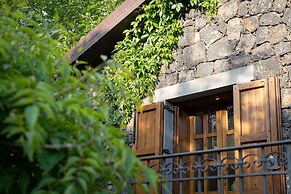 Il Castagno dell'Etna