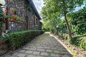 Il Castagno dell'Etna