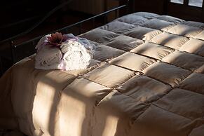 Il Castagno dell'Etna