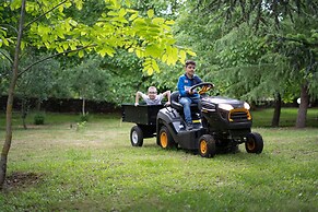 Il Castagno dell'Etna