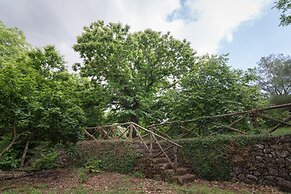 Il Castagno dell'Etna