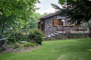 Il Castagno dell'Etna