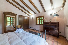 Il Castagno dell'Etna