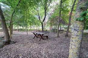 Il Castagno dell'Etna