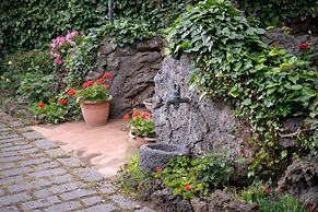 Il Castagno dell'Etna