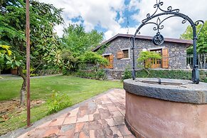 Il Castagno dell'Etna