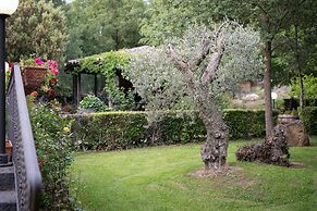 Il Castagno dell'Etna
