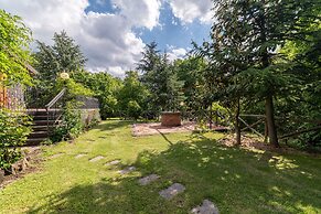 Il Castagno dell'Etna