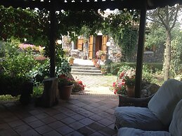 Il Castagno dell'Etna