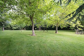 Il Castagno dell'Etna