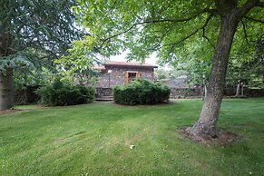 Il Castagno dell'Etna