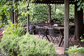 Il Castagno dell'Etna