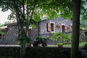 Il Castagno dell'Etna