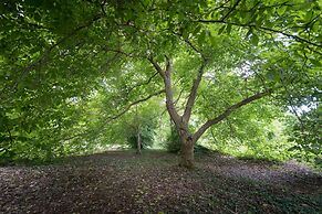 Il Castagno dell'Etna