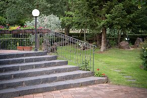 Il Castagno dell'Etna