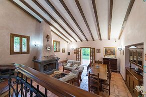 Il Castagno dell'Etna