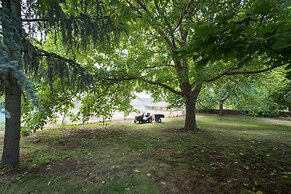 Il Castagno dell'Etna