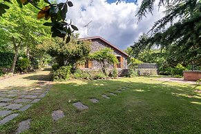 Il Castagno dell'Etna