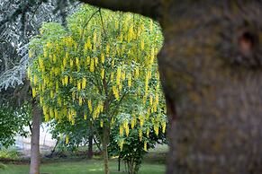 Il Castagno dell'Etna