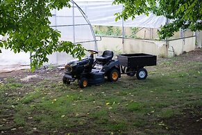 Il Castagno dell'Etna