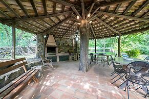 Il Castagno dell'Etna