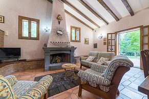 Il Castagno dell'Etna