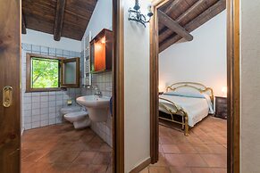 Il Castagno dell'Etna