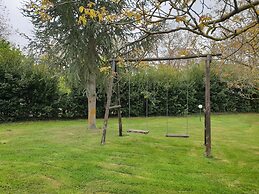 Il Castagno dell'Etna