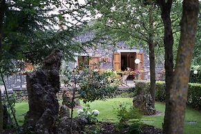 Il Castagno dell'Etna