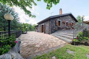 Il Castagno dell'Etna