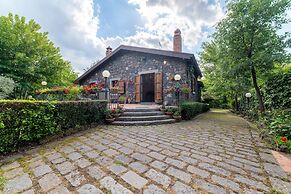 Il Castagno dell'Etna