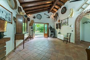 Il Castagno dell'Etna