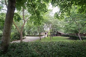 Il Castagno dell'Etna