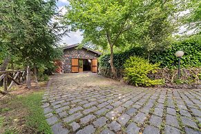 Il Castagno dell'Etna