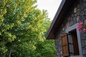 Il Castagno dell'Etna