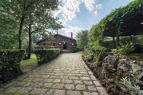 Il Castagno dell'Etna