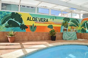 Aloe Vera Shared House - Hostel