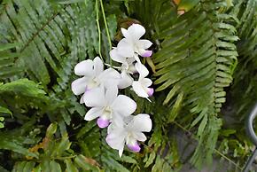 Simonton Court Historic Inn & Cottages