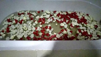 Green Paradise Hotel