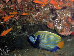 Casa Karibu at Santa Maria Machangulo Mozambique