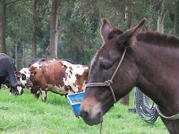 Ecohotel Pinohermoso