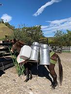 Ecohotel Pinohermoso