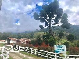 Ecohotel Pinohermoso