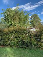 Ecohotel Pinohermoso