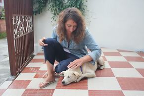 pokhara tourist home